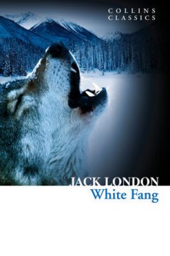 White Fang (Collins Classics)