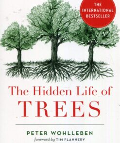 The Hidden Life of Trees: What They Feel, How They Communicate