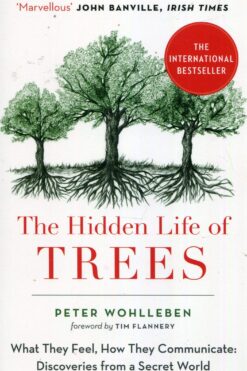The Hidden Life of Trees: What They Feel, How They Communicate