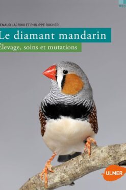 Le diamant mandarin : élevage, soins et mutations