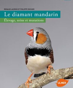 Le diamant mandarin : élevage, soins et mutations