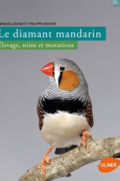 Le diamant mandarin : élevage, soins et mutations