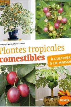 Plantes tropicales comestibles à cultiver à la maison