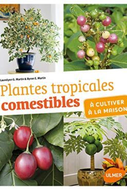 Plantes tropicales comestibles à cultiver à la maison
